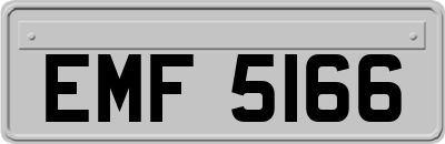 EMF5166