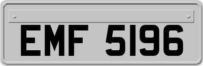 EMF5196
