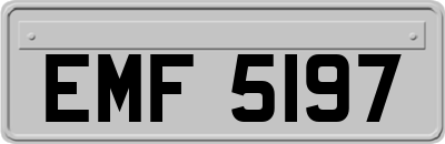 EMF5197