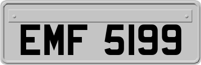 EMF5199