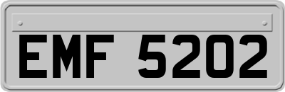 EMF5202