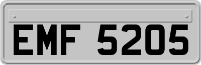 EMF5205