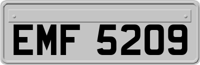 EMF5209