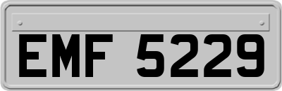 EMF5229