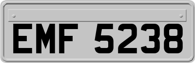 EMF5238