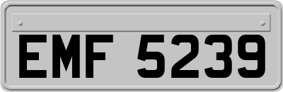 EMF5239