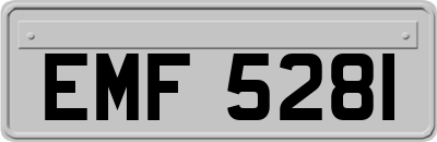EMF5281