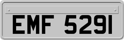 EMF5291