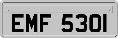 EMF5301