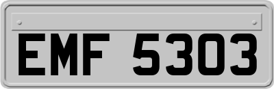 EMF5303
