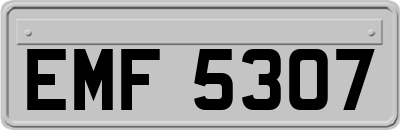 EMF5307