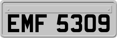 EMF5309