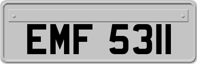 EMF5311
