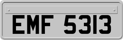EMF5313