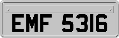 EMF5316