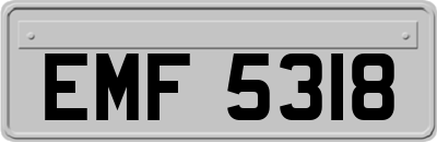 EMF5318