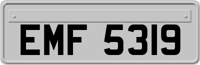 EMF5319