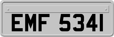 EMF5341