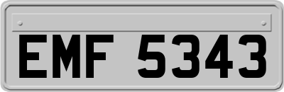 EMF5343