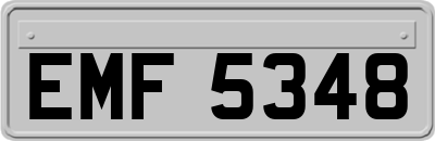 EMF5348