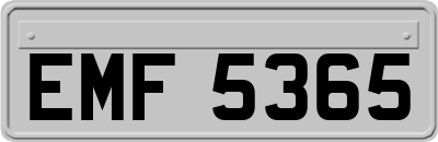 EMF5365