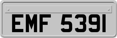 EMF5391