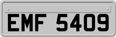 EMF5409