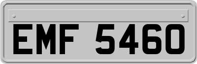 EMF5460