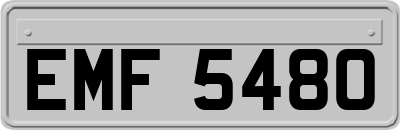 EMF5480