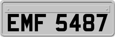 EMF5487