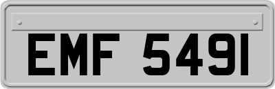 EMF5491