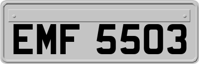 EMF5503