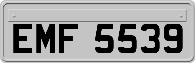 EMF5539