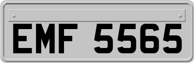 EMF5565