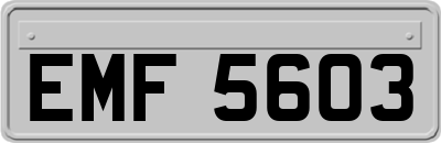 EMF5603