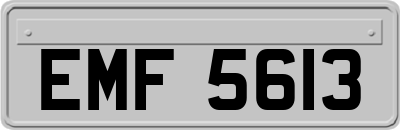 EMF5613