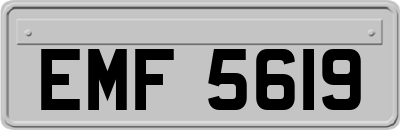 EMF5619