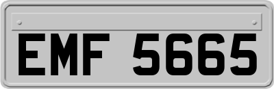 EMF5665