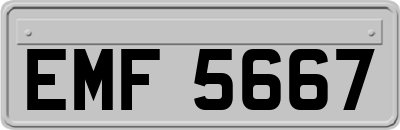 EMF5667