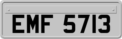 EMF5713