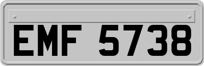 EMF5738