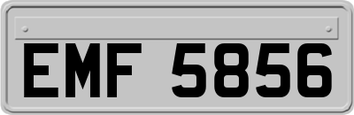 EMF5856