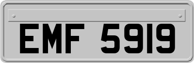 EMF5919
