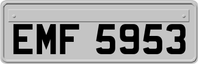 EMF5953
