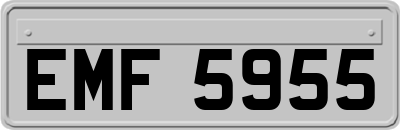 EMF5955