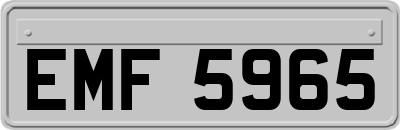 EMF5965