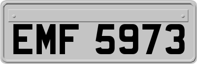 EMF5973