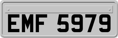EMF5979