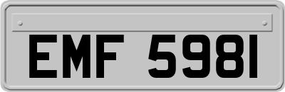 EMF5981
