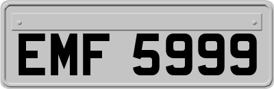 EMF5999